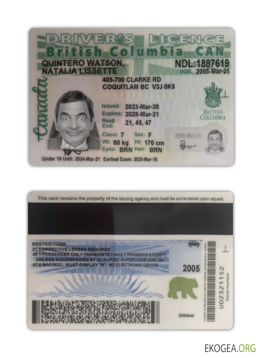 Canada British Columbia driving license 2021 present